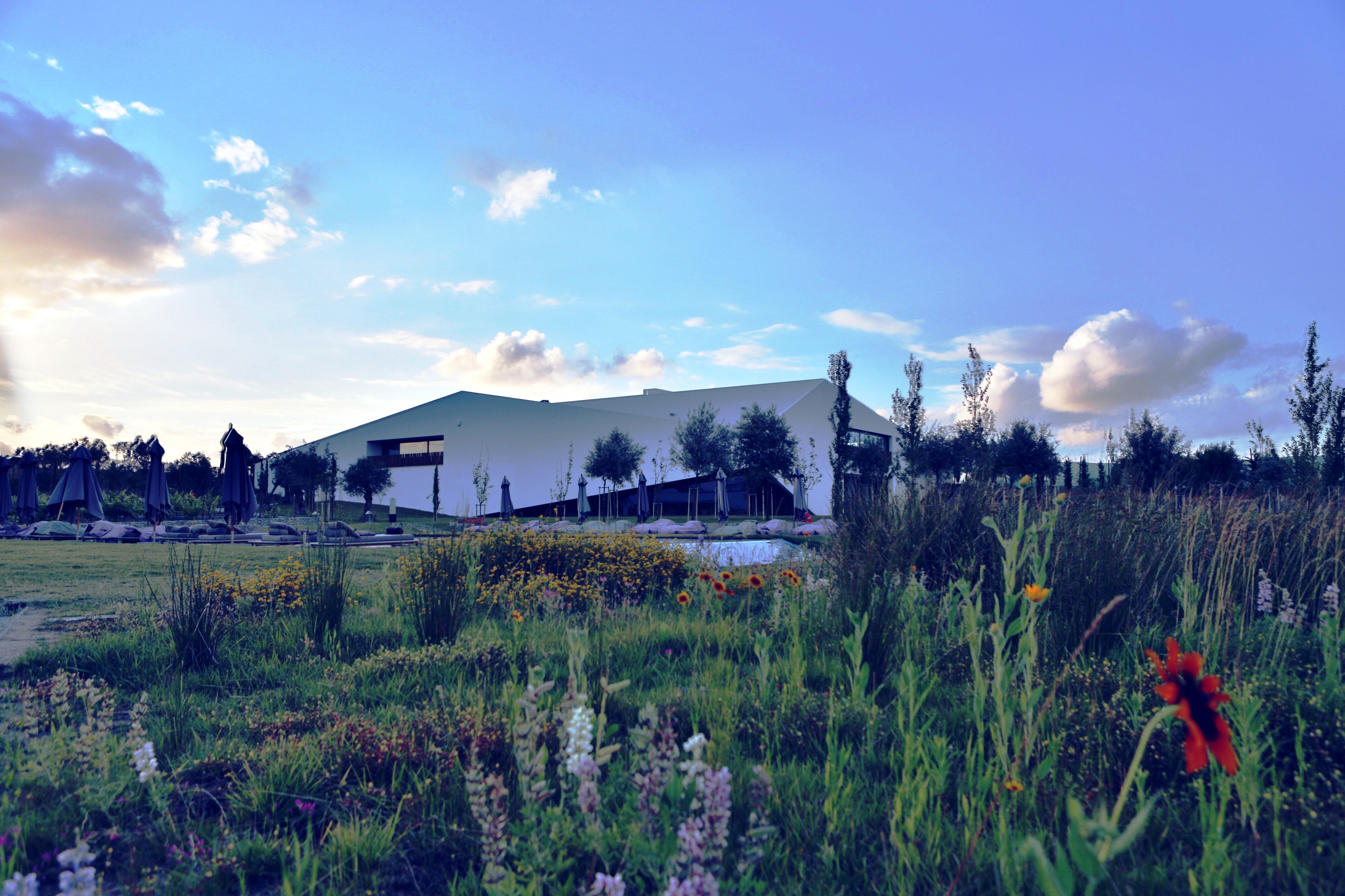 L'And Vineyards - Relais & Chateaux Montemor-o-Novo Exterior photo